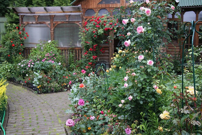 Красивые цветники с розами7 (700x466, 501Kb)