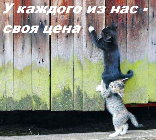 4843185_20__8120 (544x488, 122Kb)