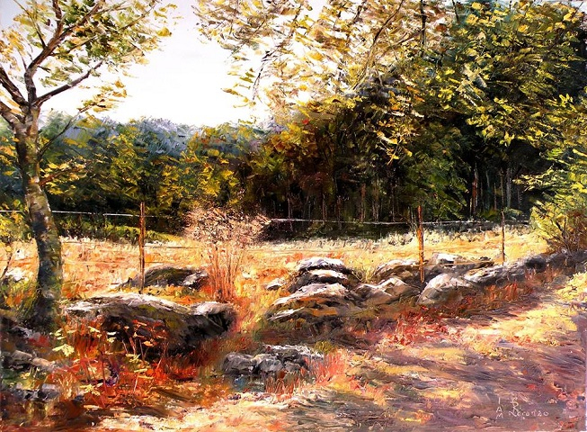 Ombres et lumières sur le sentier (653x480, 494Kb)