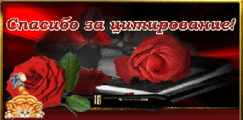 oie_overlay (500x247, 615Kb)