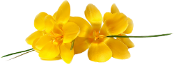 14 (250x92, 28Kb)