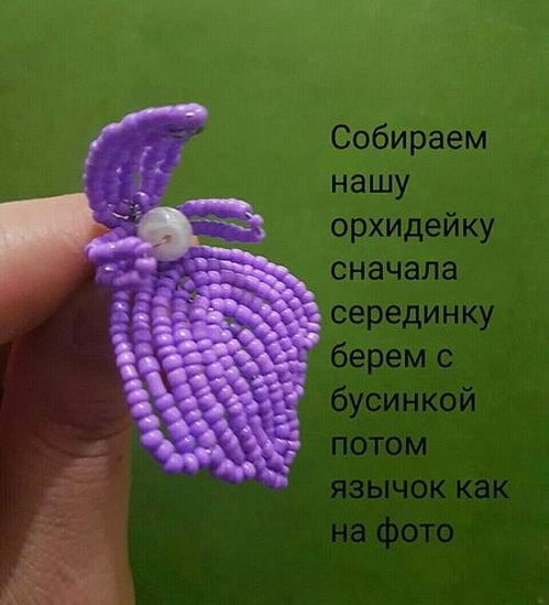5900912_10_ (499x549, 85Kb)