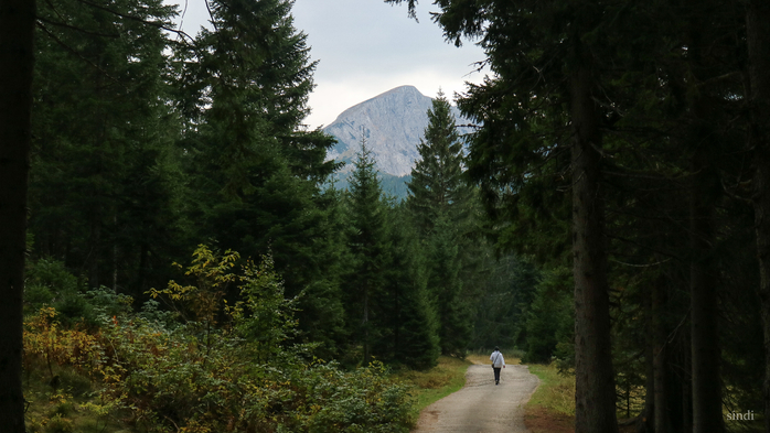 IMG_7798 (700x393, 330Kb)