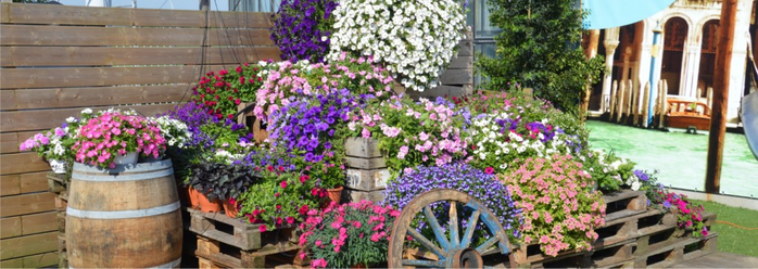 PRESENTATIE-FLOWER-TRIALS-hoofdbanner-10-1024x364 (700x248, 281Kb)