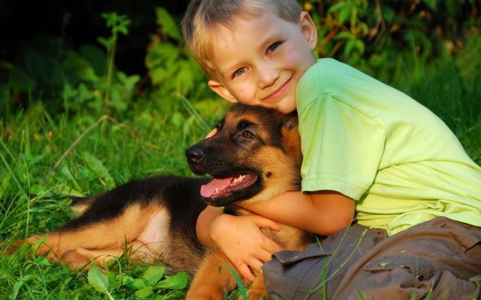 10 лучших пород собак для квартиры и детей: выбираем верного друга для ребёнка
