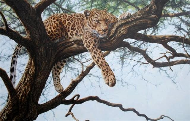 Impala Alan M Hunt African Wildlife Painting Leopard (640x409, 219Kb)