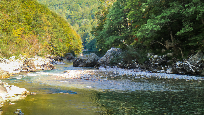 IMG_7983 (700x393, 483Kb)