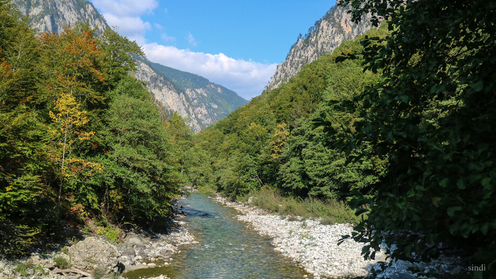 IMG_8004 (700x393, 460Kb)