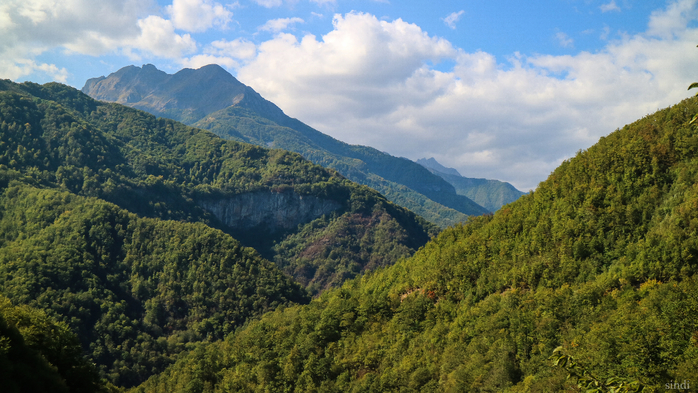 IMG_8074 (700x393, 419Kb)