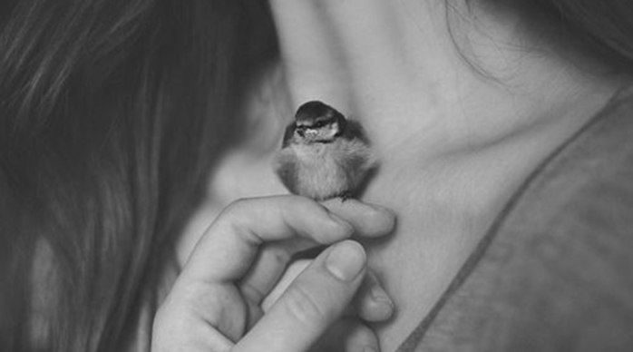 6120542_vkYv8_45KDo (700x388, 25Kb)