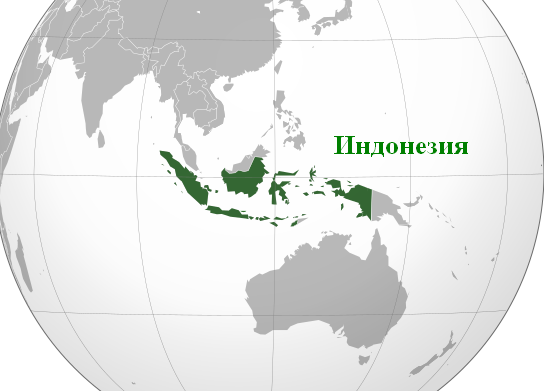 3085196_550pxIndonesia_orthographic_projection_svg (544x391, 69Kb)