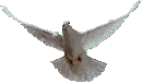 голубь.1png (130x77, 20Kb)