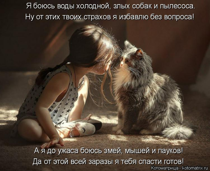 kotomatritsa_A (1) (700x570, 350Kb)