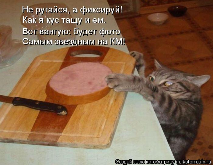 kotomatritsa_It (700x544, 249Kb)