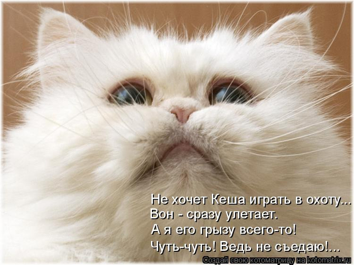 kotomatritsa_q4 (700x524, 317Kb)