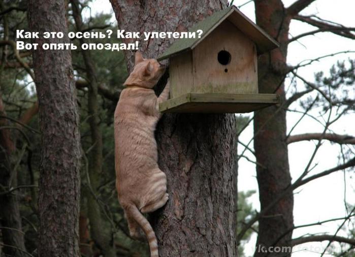 f9a86af7463966271601ecaf866f940c (700x506, 57Kb)
