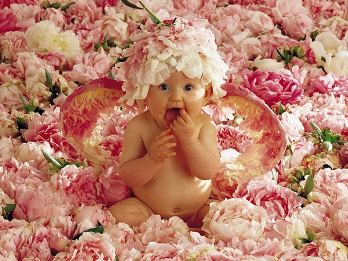423179_cute-wallpapers-download-free-1-jpg_1600x1200_h (700x525, 471Kb)
