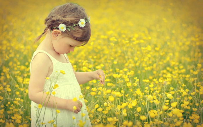 girl-child-field-flowers (700x437, 366Kb)