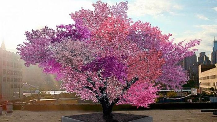 40_fruits_tree_7 (700x394, 64Kb)