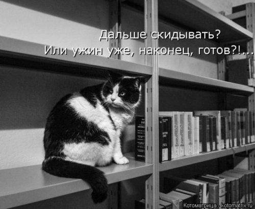 1527853232_kotomatricy-33 (500x409, 74Kb)