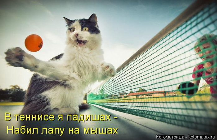 . .