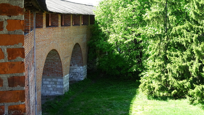 DSC05972 (700x394, 183Kb)