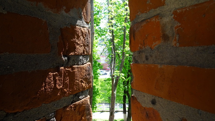 DSC05969 (700x394, 121Kb)