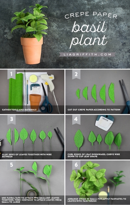 CrepePaperBasilPlant_Tutorial (442x700, 237Kb)