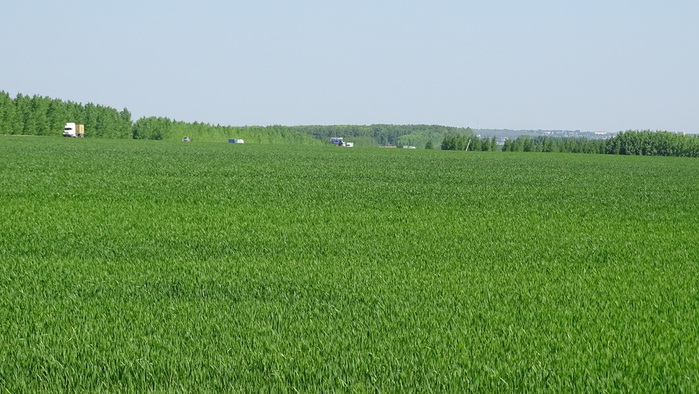 DSC05725 (700x394, 122Kb)
