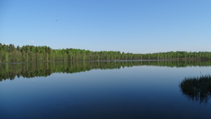 DSC05747 (700x394, 48Kb)