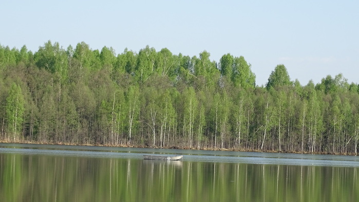 DSC05748 (700x394, 99Kb)