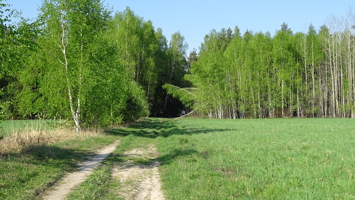 DSC05759 (700x394, 166Kb)