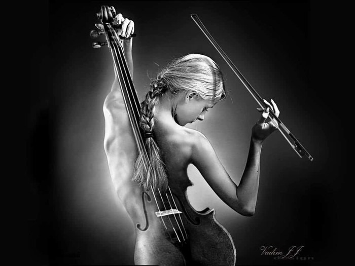 4646985_filleviolon (700x525, 49Kb)