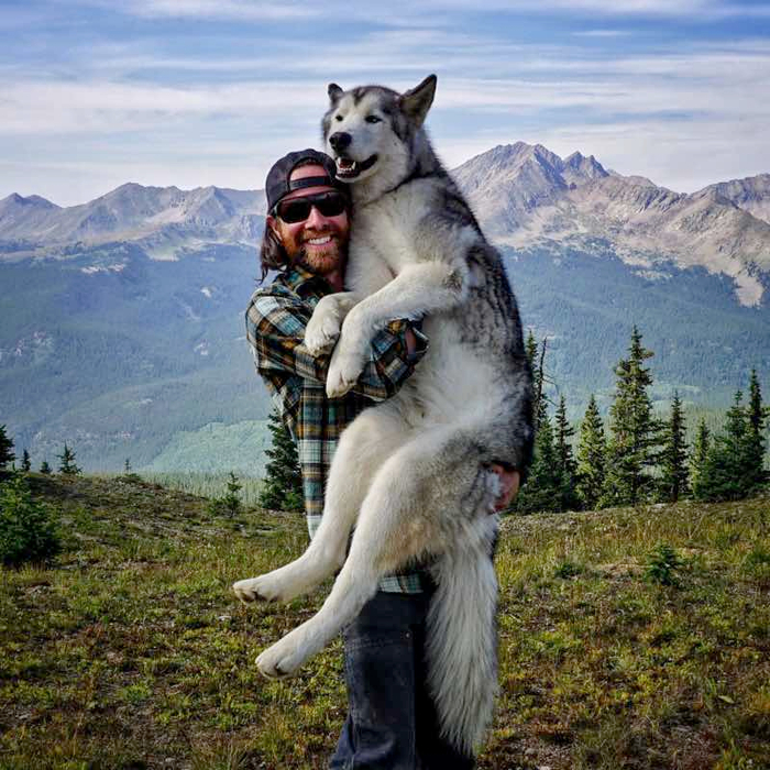 poroda-sobak-khaski-foto-5 (700x700, 574Kb)