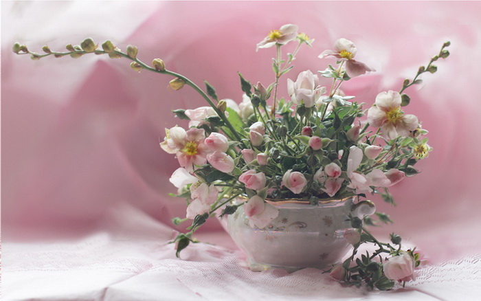 1402 (700x438, 216Kb)