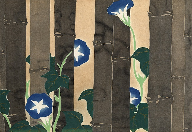 Bamboo and Morning Glories. (study of Morning Glories in a bamboo grove (653x450, 278Kb)