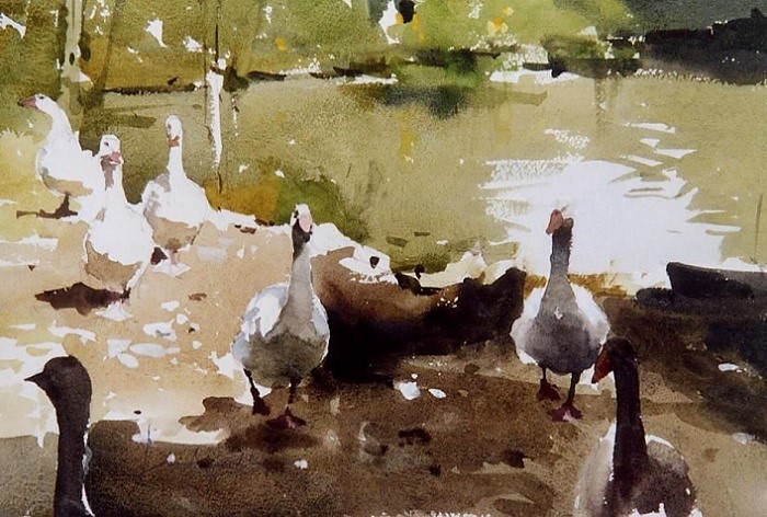 Inquisitive Geese (700x472, 300Kb)