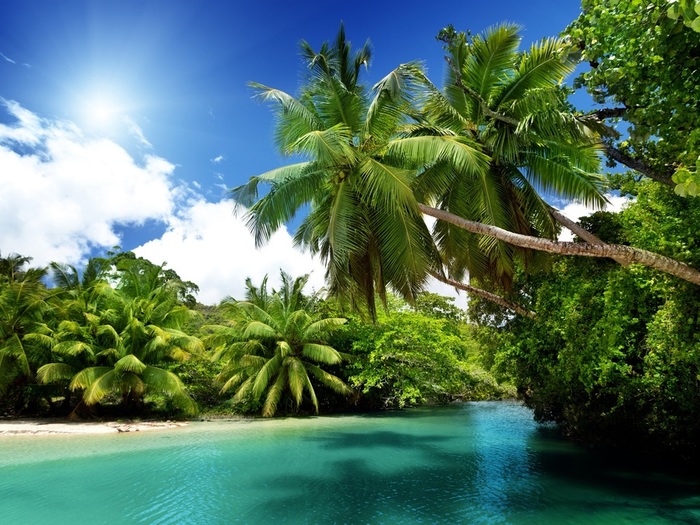 Palm-trees-tropical-sea-blue-water-summer_1920x1440 (700x525, 168Kb)