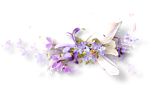 0_1cfec2_c1da615c_S (150x86, 18Kb)