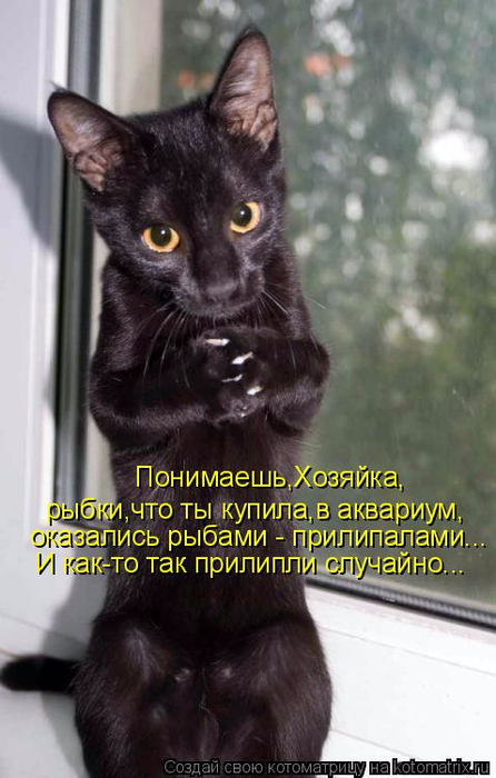 18 (446x700, 284Kb)