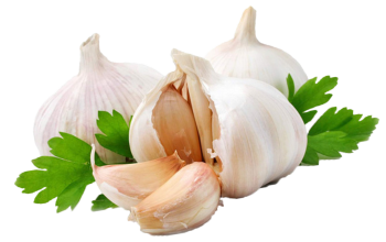garlic-hd-png-garlic-png-1144 (350x220, 80Kb)