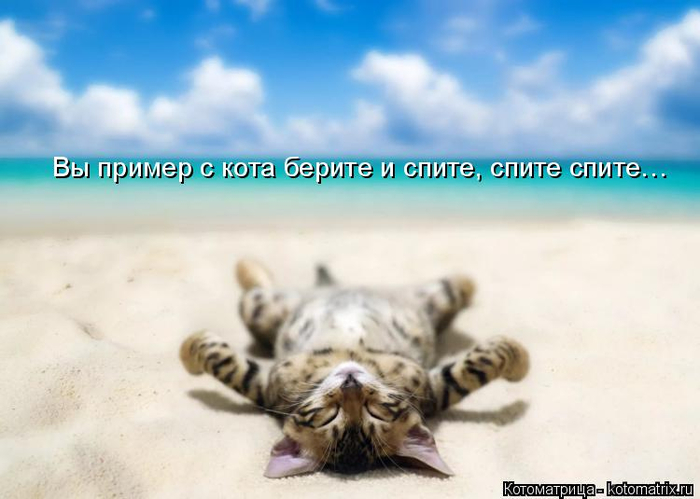 kotomatritsa_K (1) (700x499, 253Kb)