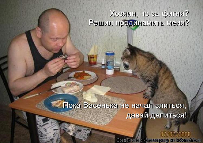 kotomatritsa_Q (1) (700x493, 316Kb)