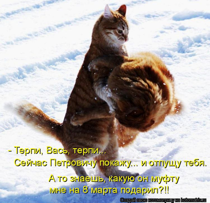 kotomatritsa_U- (700x674, 456Kb)