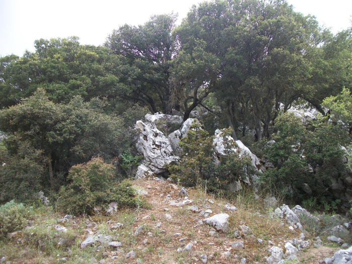 image (19) (700x525, 496Kb)