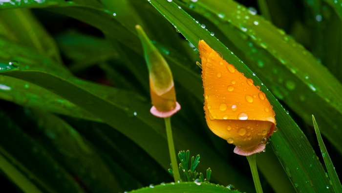 260 (700x394, 210Kb)