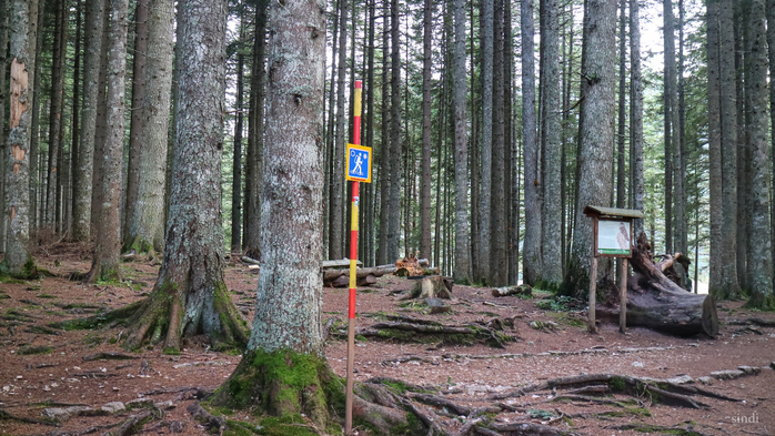 IMG_7824 (700x393, 431Kb)
