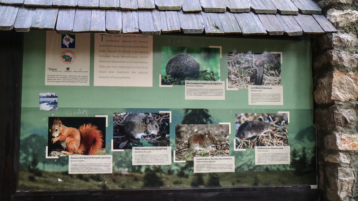 IMG_7827 (700x393, 345Kb)