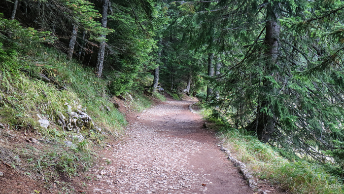 IMG_7829 (700x393, 477Kb)