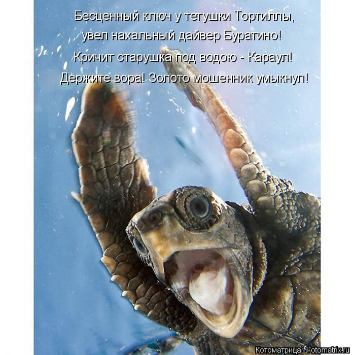 kotomatritsa_nc (700x700, 417Kb)